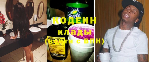 сатива Лабытнанги