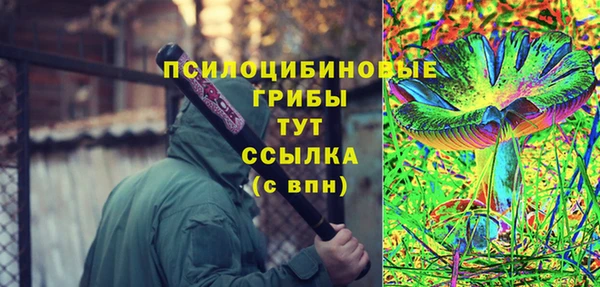 сатива Лабытнанги