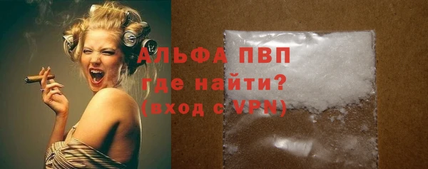 сатива Лабытнанги