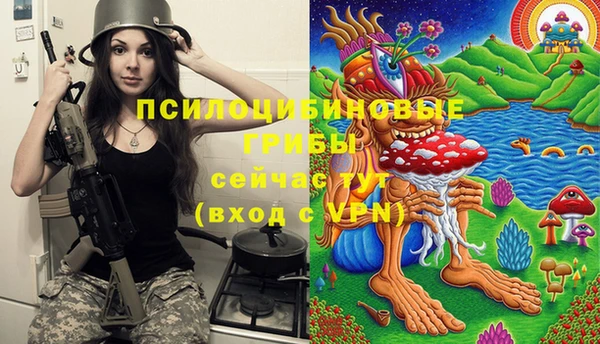 круглые Лагань