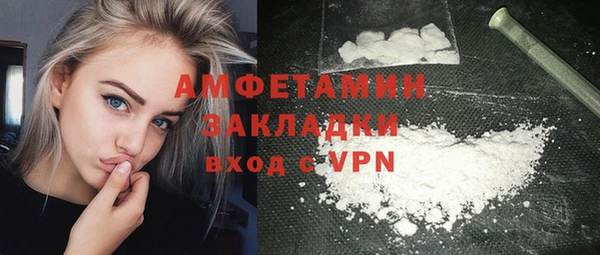 сатива Лабытнанги