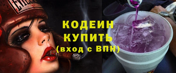 сатива Лабытнанги
