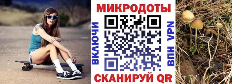 даркнет сайт  Ессентукская  Галлюциногенные грибы Psilocybe 